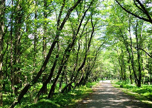 秋ヶ瀬公園