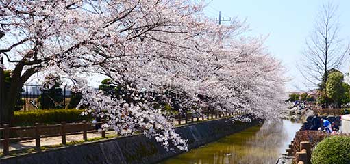 荒川総合運動公園通りスマホ表示用